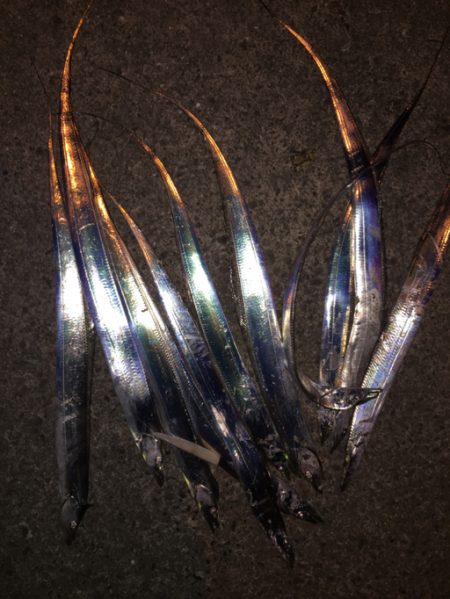 今日はパールホワイトが強し