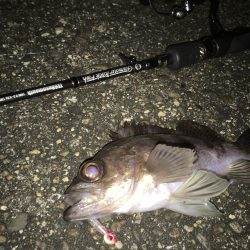 強風〜？ドリフトで連発！