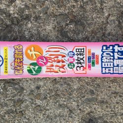 たまには違う場所で(^｡^)