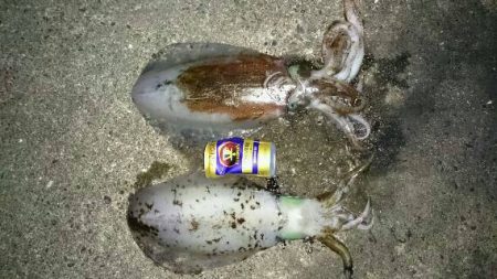 moonパワーむなしく