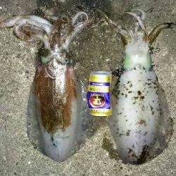 moonパワーむなしく