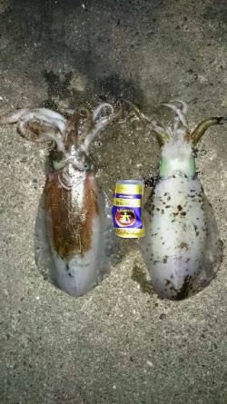 moonパワーむなしく