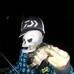 そろそろ終わりかな？