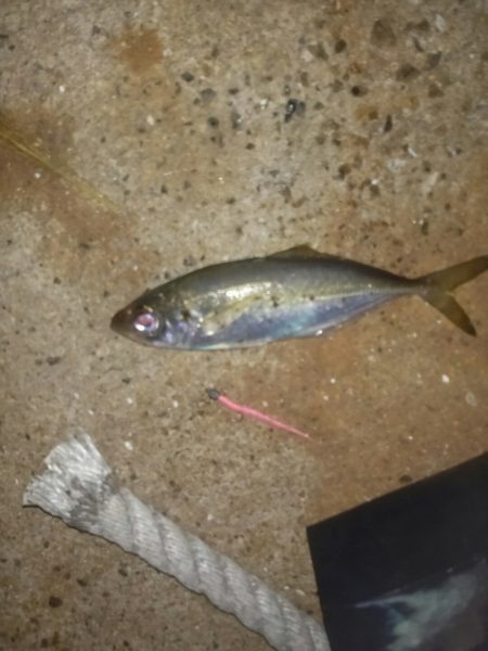 まだまだ行ける？