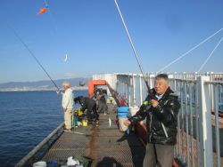 尼崎市立魚つり公園　サヨリ良型あがっていま…