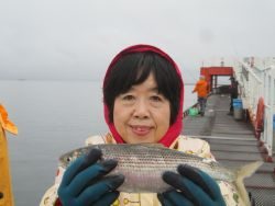 尼崎市立魚つり公園　セイゴアタリ多いです！