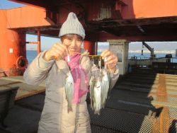 尼崎市立魚つり公園 投稿