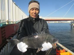 尼崎市立魚つり公園 投稿