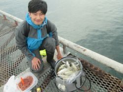 尼崎市立魚つり公園　コノシロが凄いことになっています。