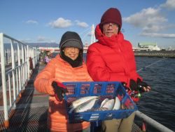 尼崎市立魚つり公園 セイゴは早朝入れ喰い