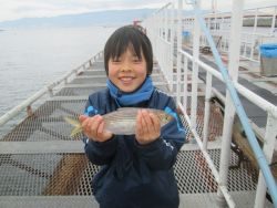 セイゴは朝から元気！尼崎市立魚つり公園