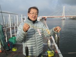 尼崎市立魚つり公園 セイゴ&キビレ…