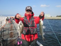 尼崎市立魚つり公園 シラサのウキ釣りでハネ・チヌ