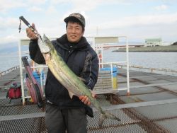 尼崎市立魚つり公園 アジのノマセでサワラ9…
