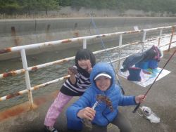 大阪南港海釣り公園　アジ、ガシラ、ハネ