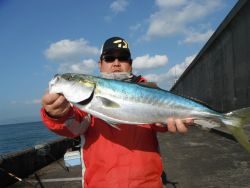 北港釣り公園　メジロ68cmの釣果