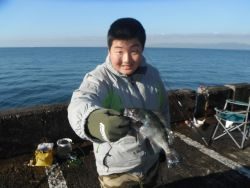 和歌山北港魚つり公園 投稿