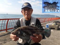 神戸市立須磨海づり公園　ウマヅラ、グレ、ほか