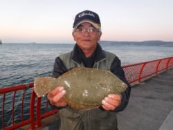 神戸市立平磯海づり公園　カレイ34cm