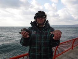 神戸市立平磯海づり公園　ウキ釣りでメバル、…