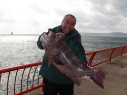 【4日】平磯海づり公園でコブダイ記録賞！