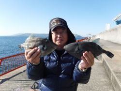 神戸市立平磯海づり公園 投稿