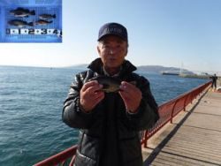 神戸市立平磯海づり公園　ウキ釣りでメバル