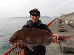 平磯海釣り公園　ウキ釣りでマダイ65cm