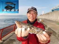 神戸市立平磯海づり公園 良型アイナメとグレをキャッチ！