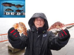 神戸市立平磯海づり公園　ガシラ、メバル、コ…