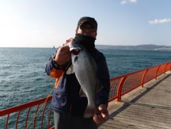 神戸市立平磯海づり公園 ヒラスズキをキャッ…