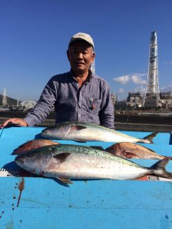 和歌山マリーナシティ海洋釣り堀　ブリ、メジ…