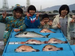 キッズ釣果★海洋釣り堀でマダイGET！