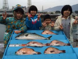キッズ釣果★海洋釣り堀でマダイGET！