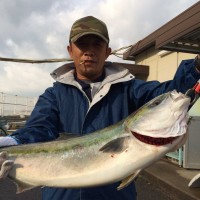 和歌山マリーナシティ海洋釣り堀　メジロ、マ…