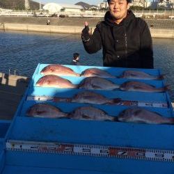 和歌山マリーナシティ海洋釣り堀　マダイ9尾