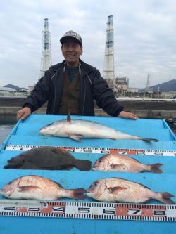 マリーナシティ海洋釣り堀 青物・マダイ・ヒラメの釣果あり