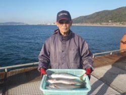 神戸市立須磨海づり公園　ハネ、ハマチ