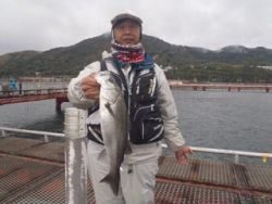 神戸市立須磨海づり公園　ハネ 50cm