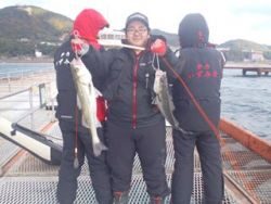 神戸市立須磨海づり公園　ウキ釣りでハネ