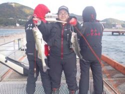 神戸市立須磨海づり公園　ウキ釣りでハネ