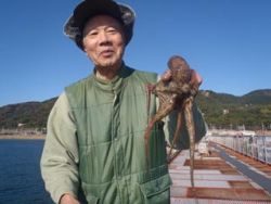 神戸市立須磨海づり公園 投稿