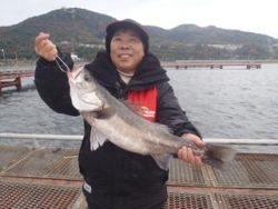 神戸市立須磨海づり公園 シラサのウキ釣りでスズキ63ｃｍ