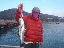 須磨海釣り公園　ウキ流しでハネ4尾