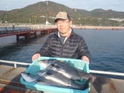 須磨海釣り公園　ウキ流し釣りでハネ＆スズキ