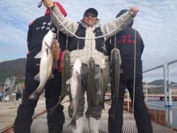 神戸市立須磨海づり公園 シラサで良型ハネ・スズキ連発♪