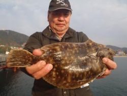 神戸市立須磨海づり公園 でカレイ、エサはマムシ