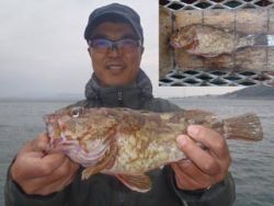 神戸市立須磨海づり公園　ガシラ　記録賞！