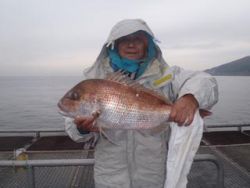 神戸市立須磨海づり公園　ウキ流しでマダイ