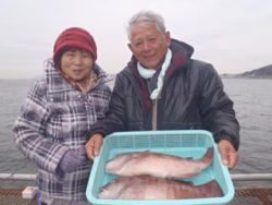 須磨海づり公園で立派なコブダイ